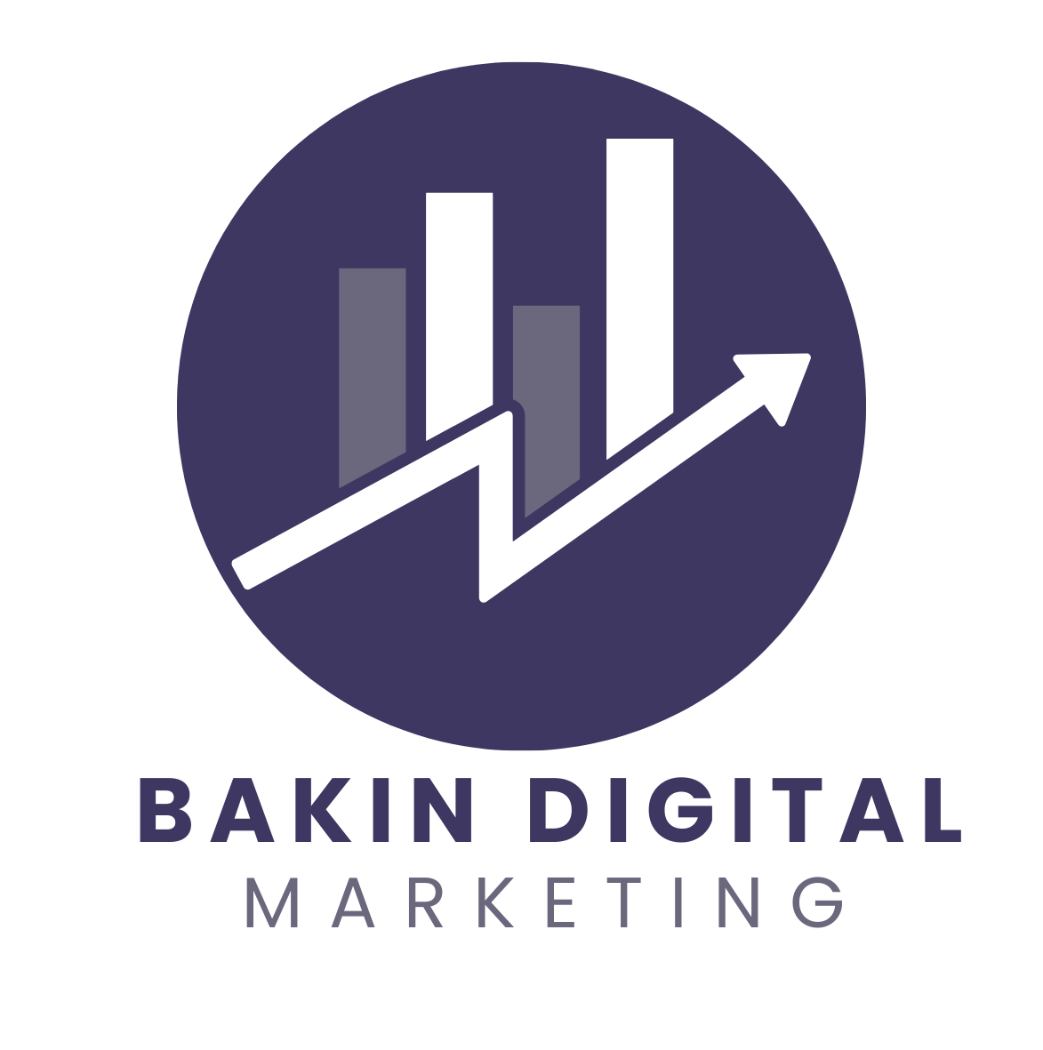 Bakin Digital